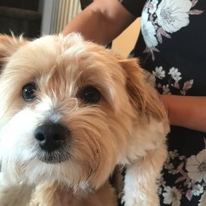 Meet your Posher, Josefine